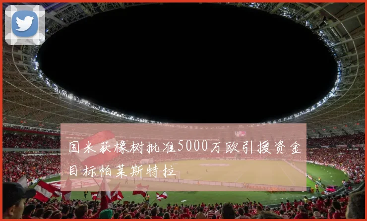 国米获橡树批准5000万欧引援资金目标帕莱斯特拉
