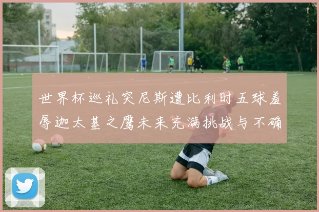 世界杯巡礼突尼斯遭比利时五球羞辱迦太基之鹰未来充满挑战与不确定性