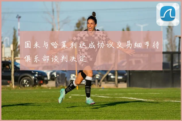 国米与哈莱利达成协议交易细节待俱乐部谈判决定