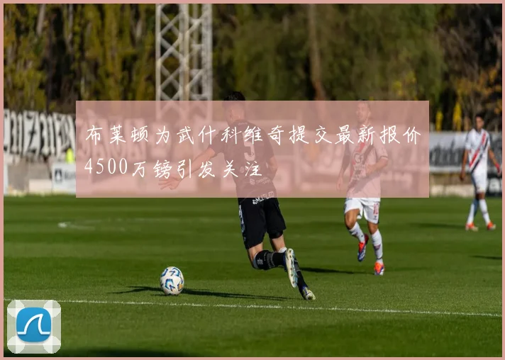 布莱顿为武什科维奇提交最新报价4500万镑引发关注