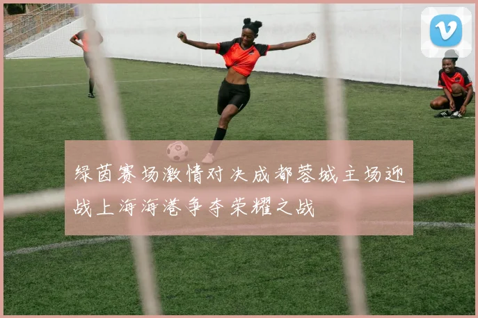 绿茵赛场激情对决成都蓉城主场迎战上海海港争夺荣耀之战