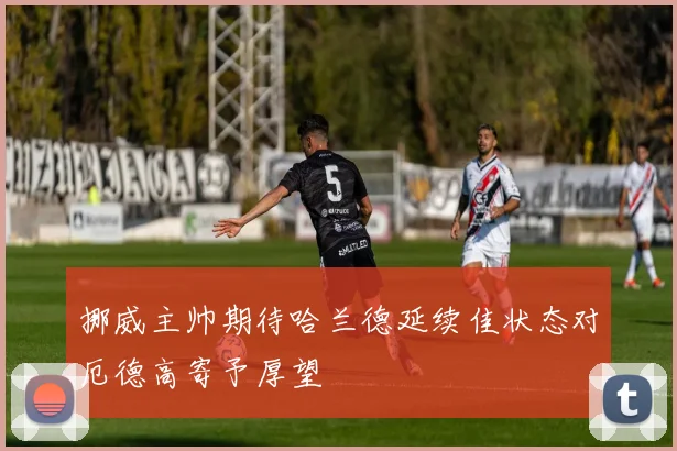 挪威主帅期待哈兰德延续佳状态对厄德高寄予厚望